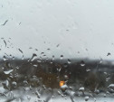 Погода в Туле 8 сентября: дожди, до +13 градусов и ветер
