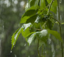 Погода в Туле 26 мая: дождливо, до 19 градусов тепла
