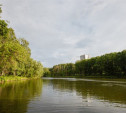 Туляки сообщают об отравлении верхнего пруда в Центральном парке