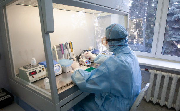 Как в Тульской области проводят лабораторные исследования на коронавирус: репортаж