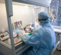 Как в Тульской области проводят лабораторные исследования на коронавирус: репортаж