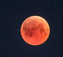 Туляки 8 ноября увидят «кровавую Луну»