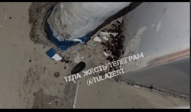 В Туле школу № 28 атаковала армия тараканов