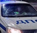 На Косой Горе в Туле водитель Citroen сбил женщину и отвёз её в больницу