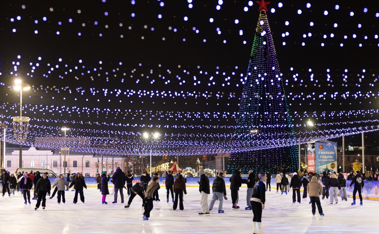 Губернский каток в Туле откроется 4 декабря: на установку потратят 71 млн рублей 
