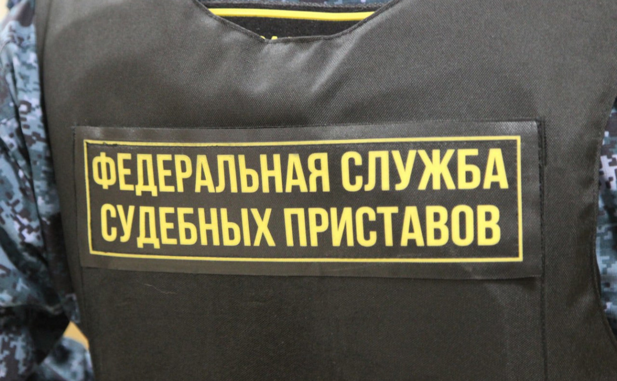 В Туле с молотка распродадут имущество должников на 34 млн рублей