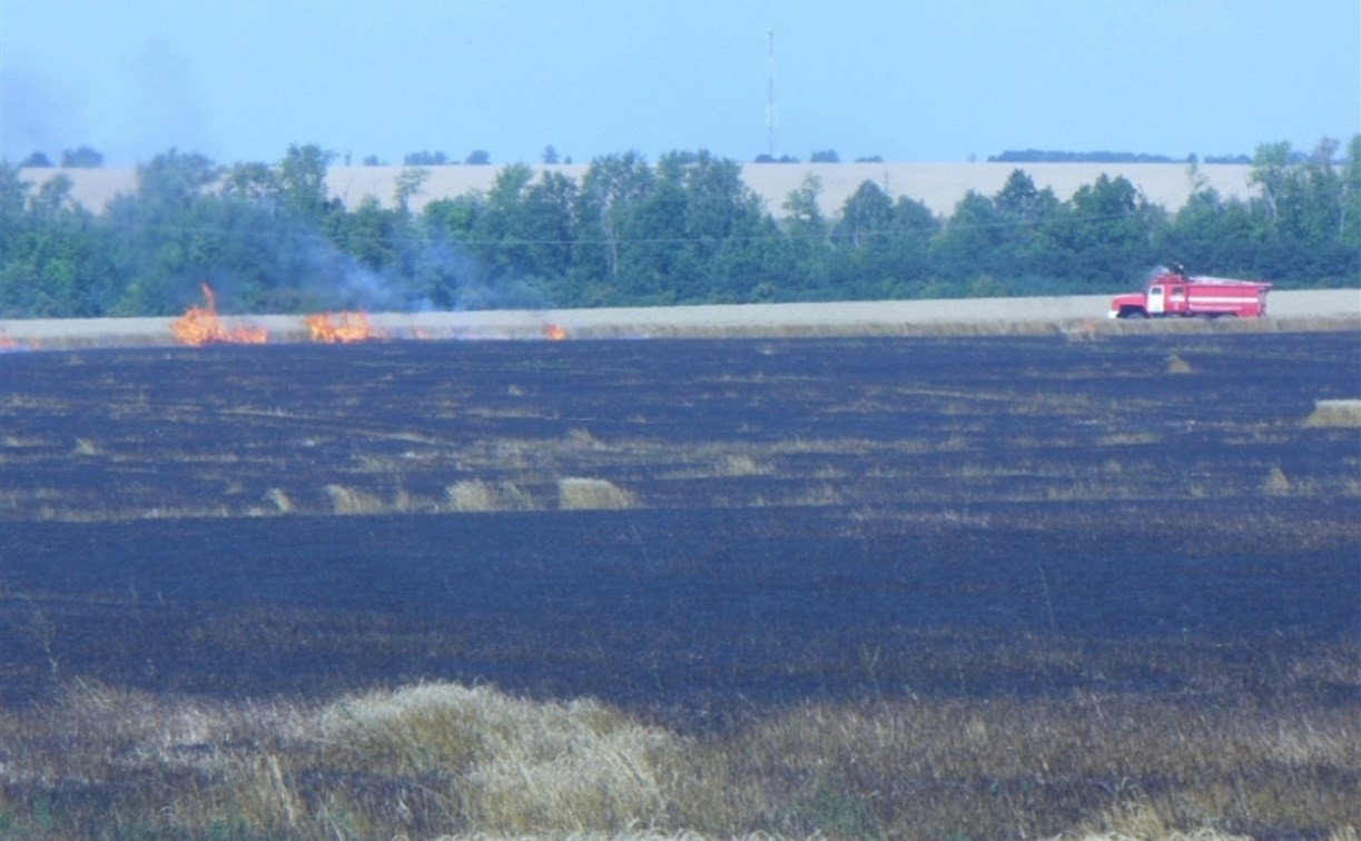 В Ефремовском районе сгорело 100 га поля
