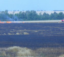 В Ефремовском районе сгорело 100 га поля