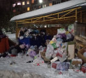 Туляки уличили «Хартию» во вранье в отчетах о вывозе мусора