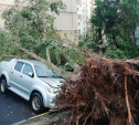 На ул. Пузакова в Туле четыре дерева упали на машины