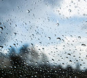 Погода в Туле 19 октября: дождь и низкое давление