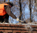 В Туле ремонтируют стену Всехсвятского кладбища