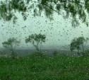 Погода в Туле 14 июня: небольшой дождь, до +27, умеренный ветер