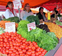 Рынок «Салют» в Туле узаконили