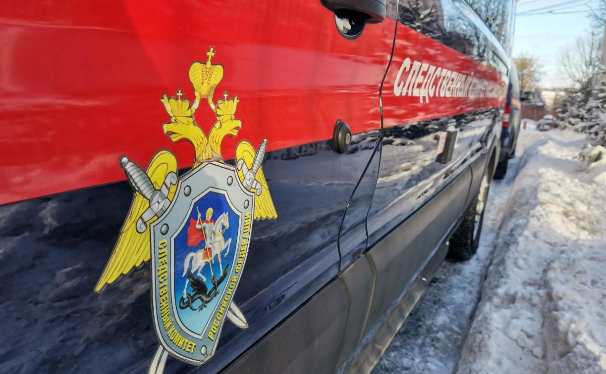 Нападение на полицейского в Туле: в отношении дочери Сергея Крылова возбуждено уголовное дело
