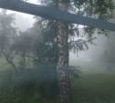 «Опять народ травят»: утром в субботу Новомосковск накрыл едкий туман 