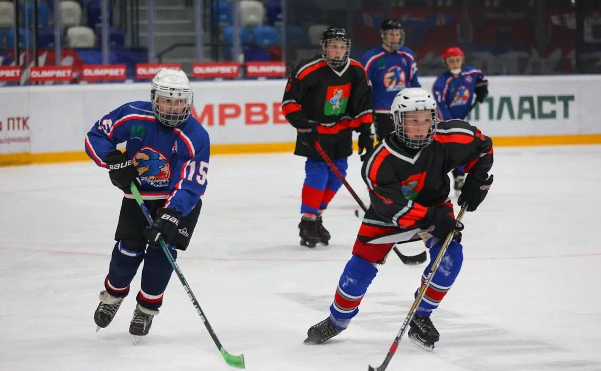 В Тульской области открылся детский Кубок по дворовому хоккею