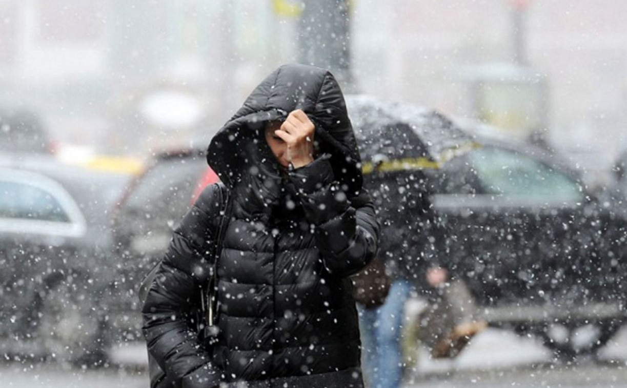 Погода в Туле 5 декабря: мокрый снег и сильный ветер