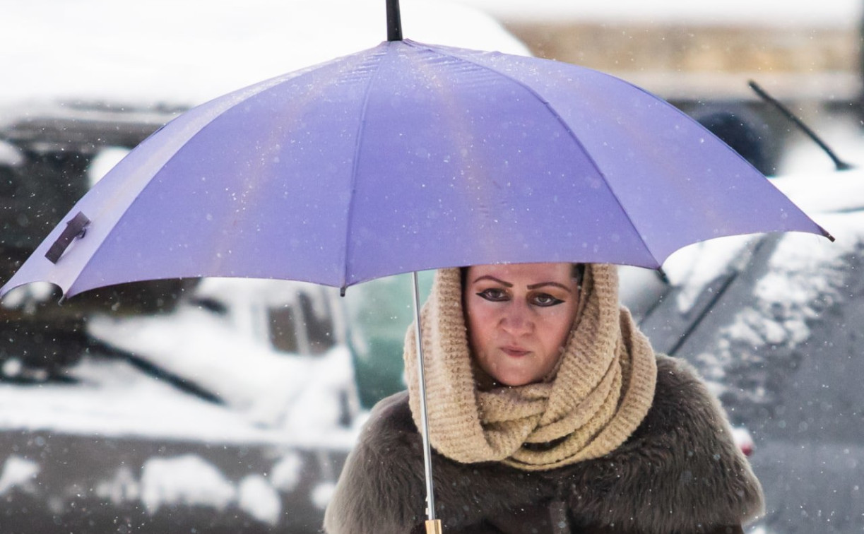 Когда в Тульской области выпадет первый снег: прогноз синоптика