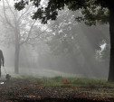 Погода в Туле 26 октября: облачно, туман и до +15