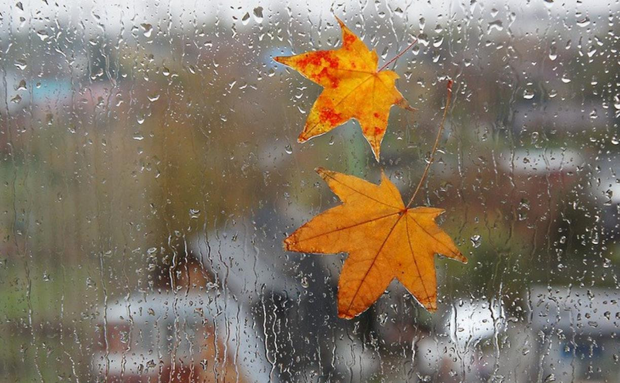 Погода в Туле 10 сентября: до +22 градусов, небольшой дождь