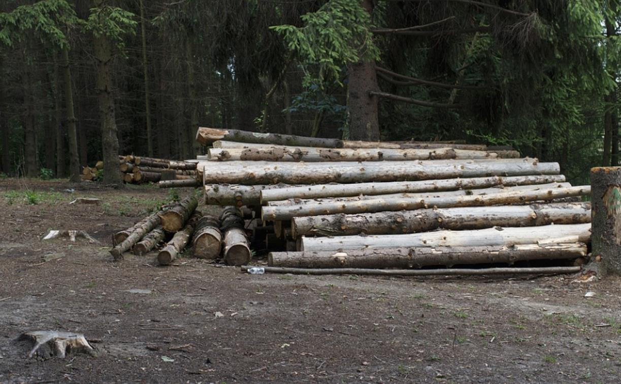 Завалило бревнами: В Тульской области при заготовке леса погиб 12-летний ребенок