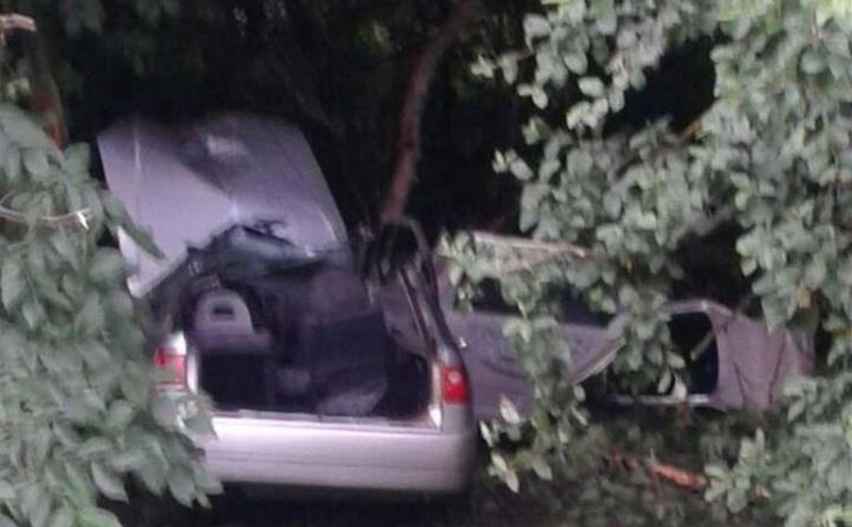 На трассе «Крым» водитель Chery погиб, врезавшись в дерево
