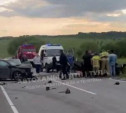 В Киреевском районе произошло смертельное ДТП