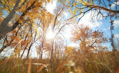Жизнь Тулы и области