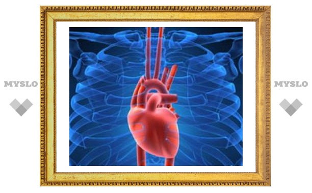 Сердце способно регенерировать клетки