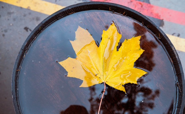 Погода в Туле 17 октября: небольшой дождь и до 11 градусов тепла