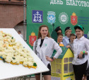 В Туле состоялась акция милосердия «Белый цветок»
