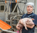 Тульская мясная компания: Как работают современные фермы