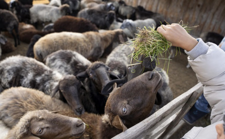 Жизнь Тулы и области