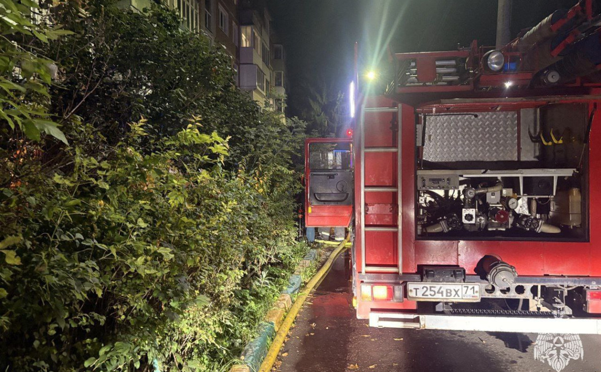 При пожаре в Туле погиб 91-летний мужчина 