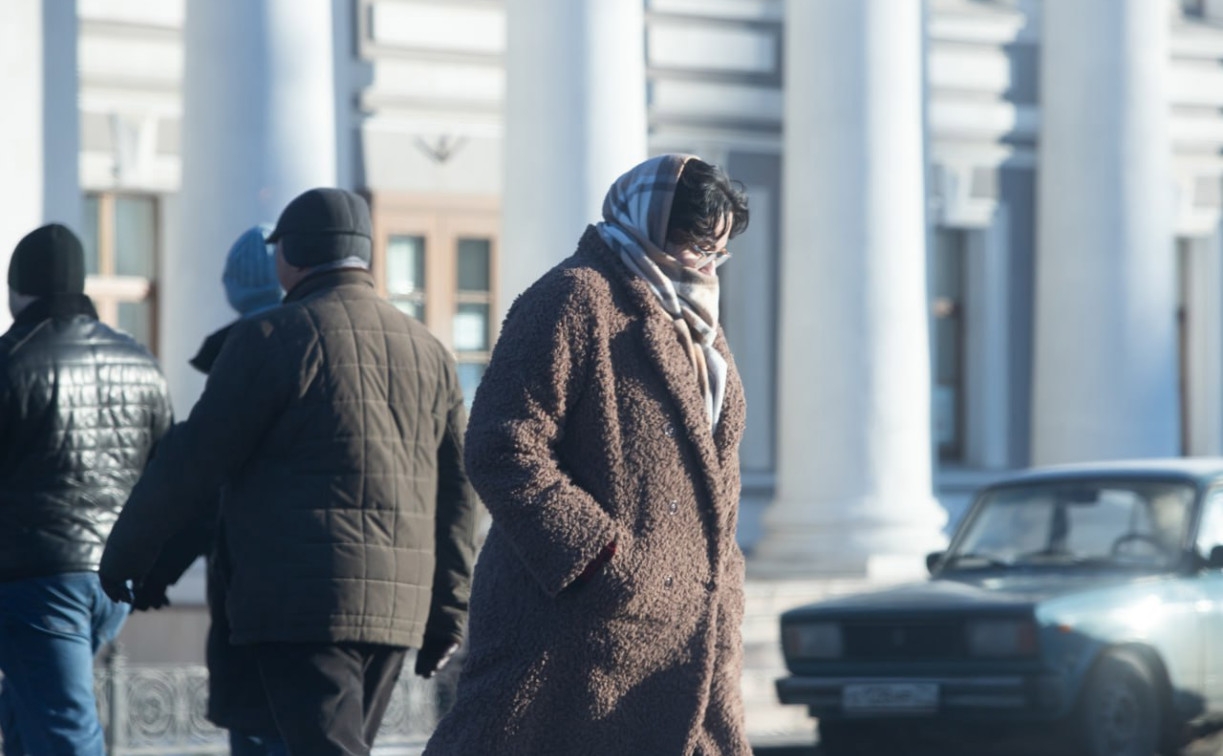 Погода в Туле 25 декабря: небольшой снег и до -5 градусов