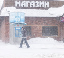 Погода в Туле 19 февраля: метель, порывистый ветер и до -7