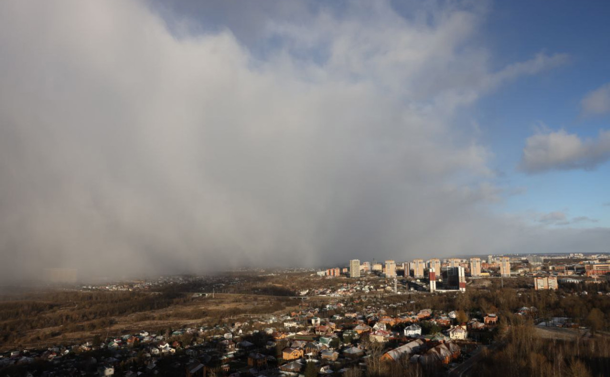 Туляки могут проверить, находится ли их земельный участок в границах скотомогильника