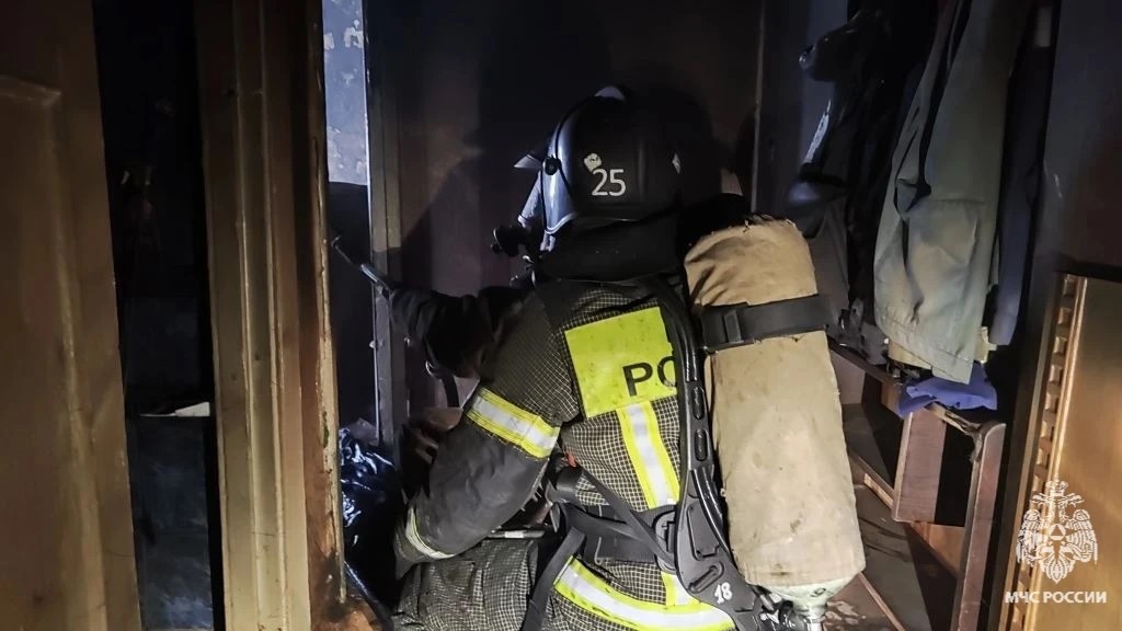 В Новомосковске при пожаре в жилом доме спасли двух человек