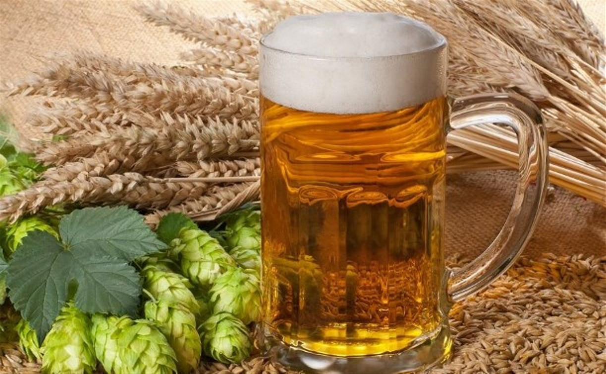 Тульские власти хотят возродить пивоварение из хмеля
