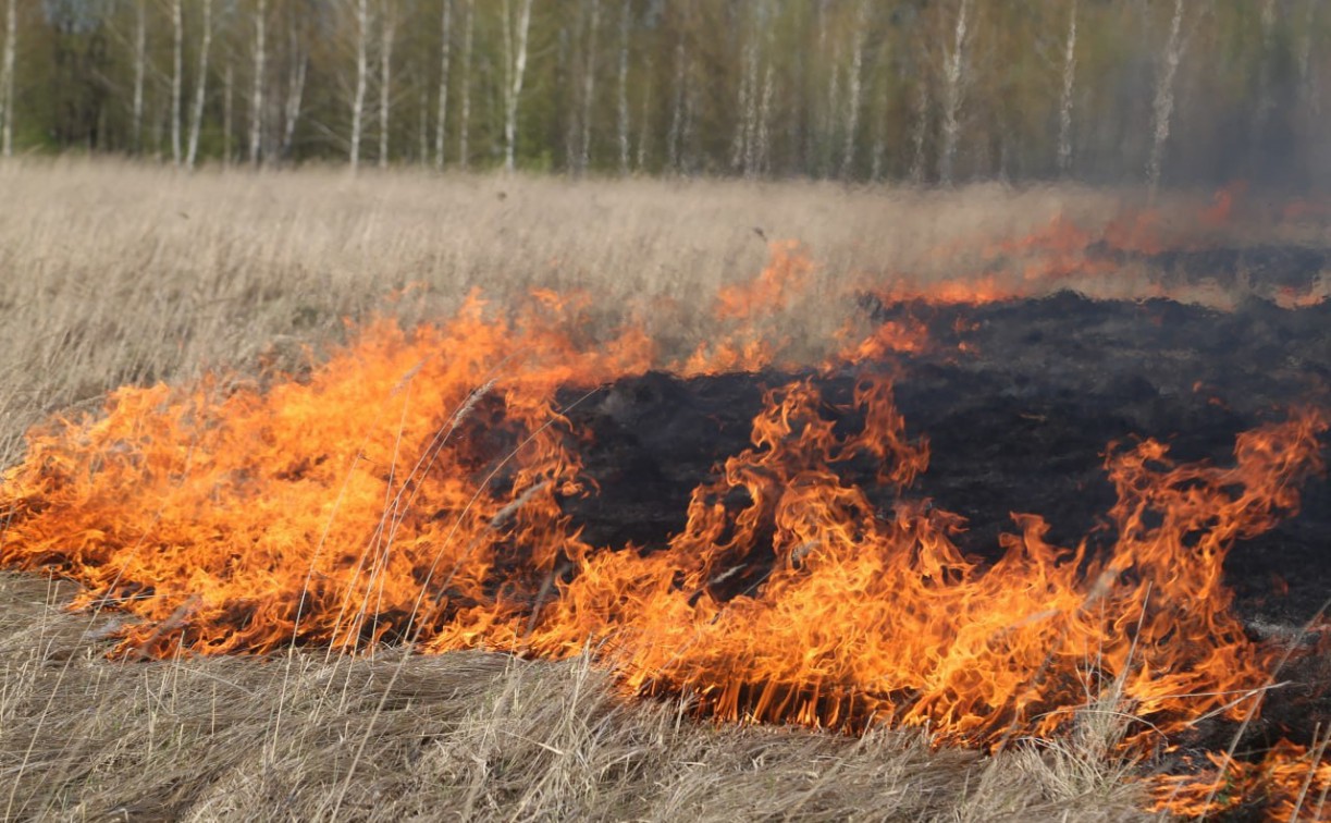 Высокая степень пожароопасности ожидается в Тульской области