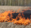 Высокая степень пожароопасности ожидается в Тульской области