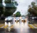 Погода в Туле 18 июля: небольшой дождь, ветер и гроза