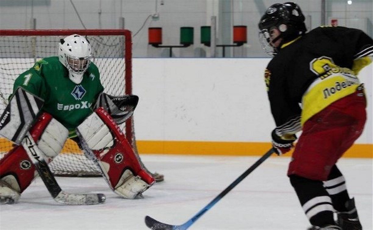 В Новомосковске пройдёт Международный детский хоккейный турнир EuroChem Cup 2015