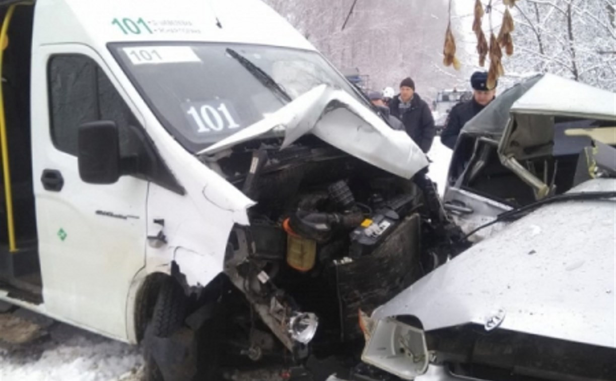 ДТП с микроавтобусом в Тульской области: пострадали шесть человек, в том числе ребенок 