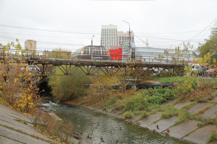 На набережной реки Воронки в Туле установят смотровые площадки с кормушками для уток