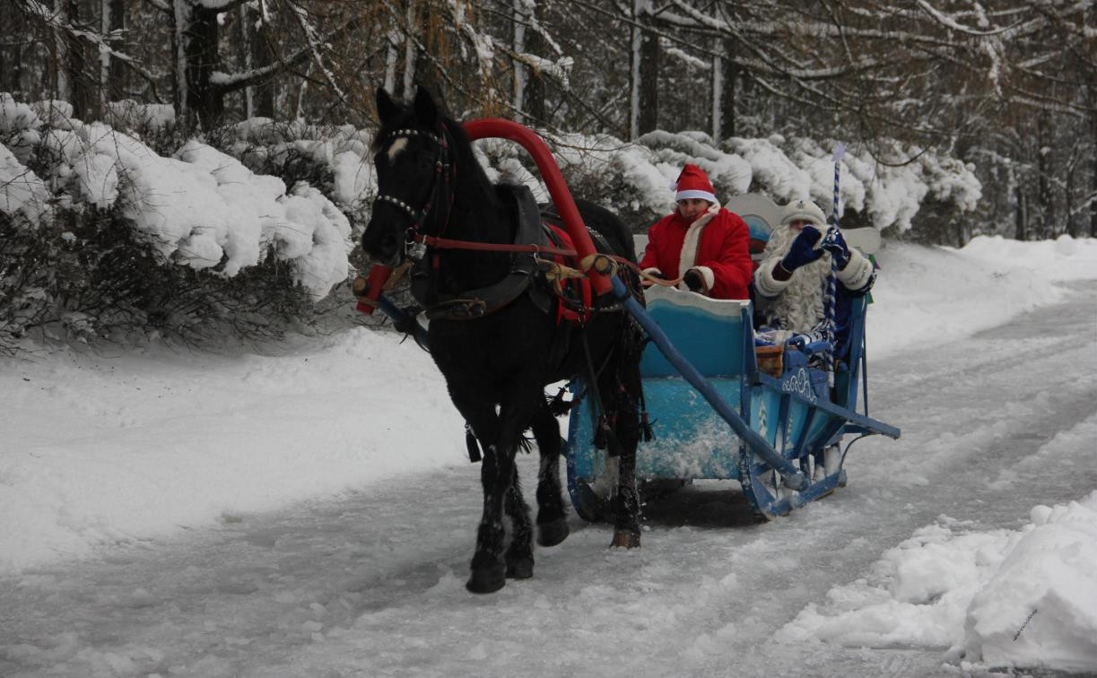 В Центральном парке Тулы открылась резиденция Деда Мороза