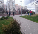 В Советском районе посадили деревья 
