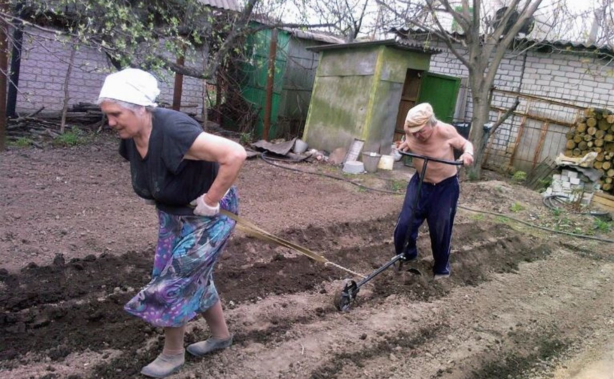 В России предлагают исключить владельцев огородов и свободного жилья из числа бедных 