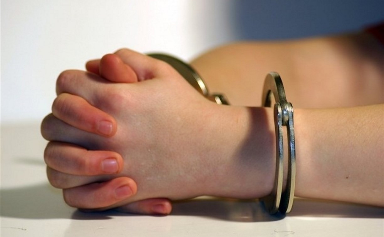 В Щекинском районе мать пятерых детей осуждена за мошенничество